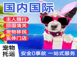 博乐阿拉山口航空快运国际宠物托运 【国